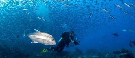 Reeves : le temps d'agir nous est compt&eacute; | Biodiversit&eacute; | Scoop.it