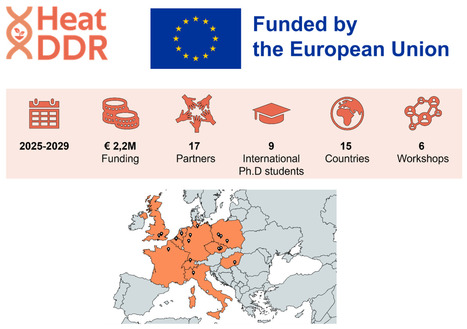 Lancement du réseau doctoral européen HeatDDR | Life Sciences Université Paris-Saclay | Scoop.it