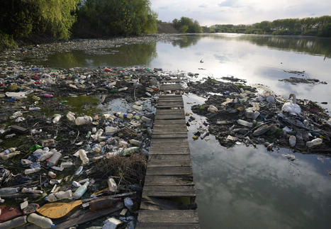 La Tierra está bastante enferma.                                               Earth is 'really quite sick now' and in danger zone in nearly all ecological ways, study says | AP News | El rincón de mferna | Scoop.it