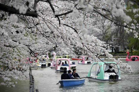 Japan Sets 15-Day, No-Visa Policy for Indonesians - Jakarta Globe | Indonesian Travellers | Scoop.it