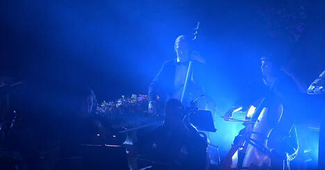 Nobelsnackisarna: Svantesson utan kavaljer och klassisk Swedish House Mafia | 1Uutiset - Lukemisen tähden | Scoop.it