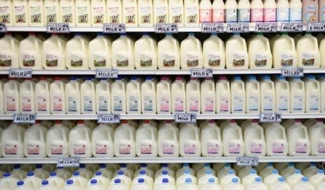 Le Canada nuirait à la rentabilité des laiteries US ! | Lait de Normandie... et d'ailleurs | Scoop.it
