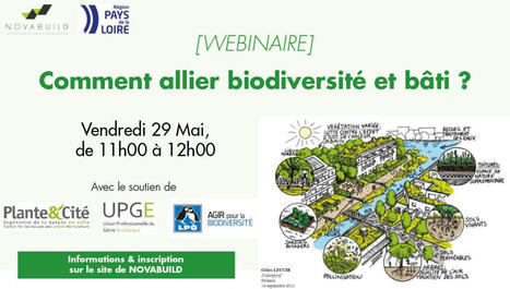 Webinaire &laquo; Comment allier biodiversit&eacute; et b&acirc;ti ? &raquo; | Nature en ville | Scoop.it