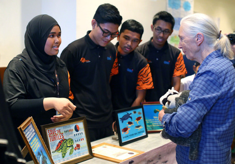 Scientists, conservationists: Give Nobel Peace Prize to Jane Goodall | Rainforest CLASSROOM | Scoop.it