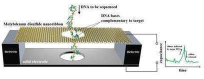 NIST suggests nanoscale electronic motion sensor as DNA sequencer | Amazing Science | Scoop.it