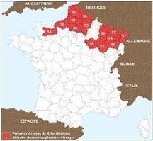 Virus de Schmallenberg - 50 exploitations ovines touchées dans 14 dépt - Elevage-net.fr | Pastoralisme Ours Loups Lynx | Scoop.it