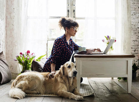 Las terapias asistidas con perros reducen un 60% la medicación por depresión, según la Real Sociedad Canina | Personas y Animales | Scoop.it