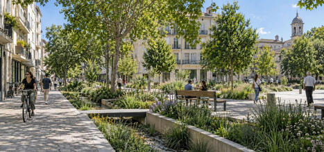 V&eacute;g&eacute;talisation urbaine : 61 % des Fran&ccedil;ais veulent plus de nature dans l&rsquo;espace public | Veille territoriale AURH | Scoop.it