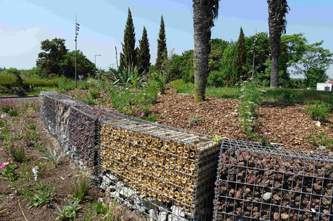 Micro-habitats dans micro-milieu | Environnement, paysage et biodiversité | Scoop.it