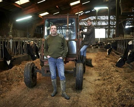 Rémunération des éleveurs : Lactalis toujours vache | Lait de Normandie... et d'ailleurs | Scoop.it
