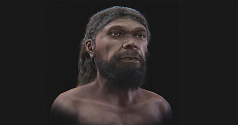 Quando desenvolvemos a capacidade para linguagem? &ndash; | Inova&ccedil;&atilde;o Educacional | Scoop.it