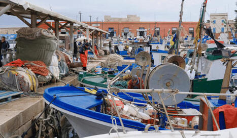 Fuel costs put ITALIAN fishing engines in focus | CIHEAM Press Review | Scoop.it
