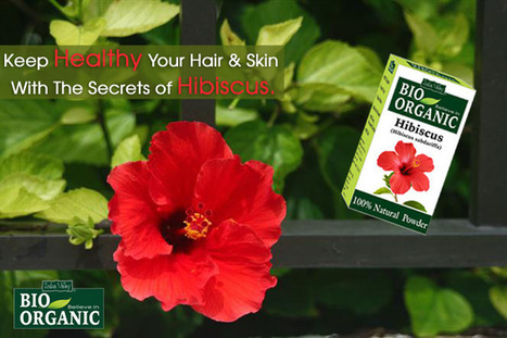 Hibiscus For Hair In Ayurvedic Hair Care Products Scoop It