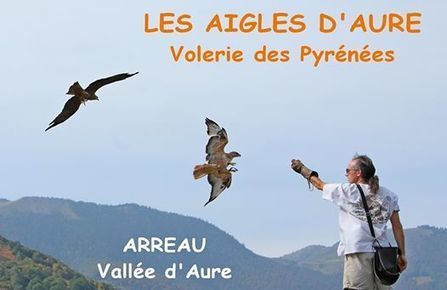 Ouverture de la Volerie des Aigles d'Aure ce 1er juillet | Vallées d'Aure & Louron - Pyrénées | Scoop.it