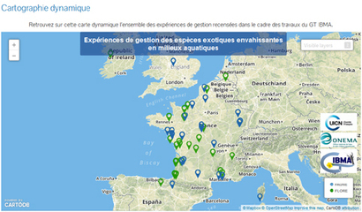 Expériences de gestion : espèces exotiques envahissantes - Milieux humides | Biodiversité | Scoop.it