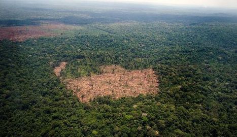 Détruire les habitats naturels des animaux conduira à de plus en plus de pandémies - L'Express | COVID-19 : Le Jour d'après et la biodiversité | Scoop.it