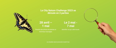 City Nature Challenge 2023 | Variétés entomologiques | Scoop.it