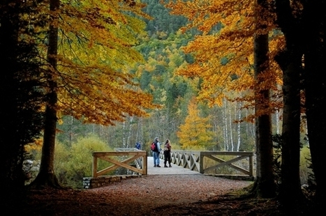 Sorties d'automne pour le Géoparc du Sobrarbe | Vallées d'Aure & Louron - Pyrénées | Scoop.it