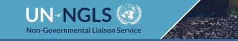 UN Civil Society Contact Points | Global Public Goods and Bads, Culture, Social Policy, Population and Migration, NGO's, NonProfit | Scoop.it