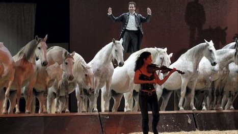 Avignon : découvrez l’envers du décor d’un show des Crinières d’Or - France 3 Provence-Alpes | Salon du Cheval | Scoop.it
