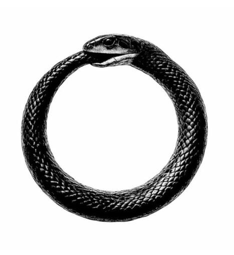 THE INTERNET IS EATING ITSELF The Internet Is Now 52% AI-Generated Content And It's Training On Itself New research just dropped numbers that should terrify anyone who cares about truth: **52% of... | Notebook or My Personal Learning Network | Scoop.it