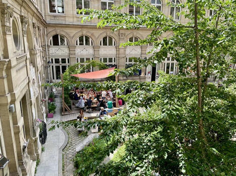 Comment adapter Paris aux (nombreuses) canicules à venir | Veille UrbaLyon : Santé environnementale & bienfaits du végétal | Scoop.it