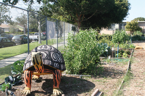 Community gardens in Westchester | 90045 Trending | Scoop.it