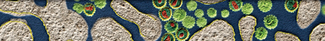 The Link between Ankylosing Spondylitis, Crohn&rsquo;s Disease, Klebsiella, and Starch Consumption | Rheumatology-Rhumatologie | Scoop.it