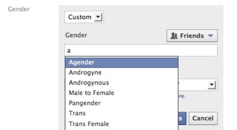 (FR) - Le dictionnaire des 52 nuances de genre de Facebook | Marie-Hélène Bourcier | actualités VIH, hépatites, IST, santé sexuelle | Scoop.it