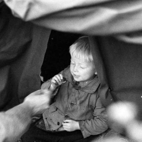 Lapin sodan tieltä evakuoitiin yli 150 000 siviiliä - raskaan matkan jälkeen palattiin poltettuun maahan | Audio Areena | 1Uutiset - Lukemisen tähden | Scoop.it