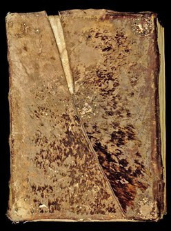 Hiding in plain sight: the biomolecular identification of pinniped use in medieval manuscripts | La Biblioth&egrave;que de l'&Eacute;cole nationale des chartes-PSL vous accompagne dans la pr&eacute;paration aux concours | Scoop.it