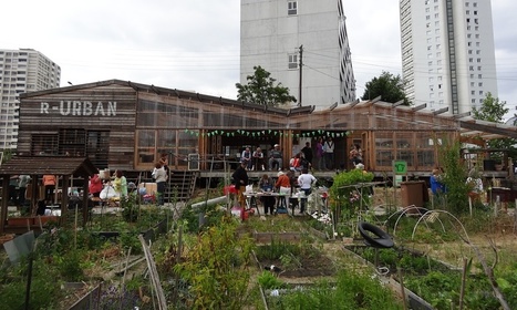 Why is a Paris suburb scrapping an urban farm to build a car park? | Peer2Politics | Scoop.it