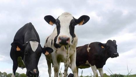 Avec Terres de Sources, « un changement de système, de l’agriculture à l’assiette » - Ouest France | Agriculture et communication positive | Scoop.it