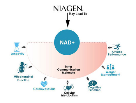 Niagen™ - Anti Aging | Five Regions of the Future | Scoop.it