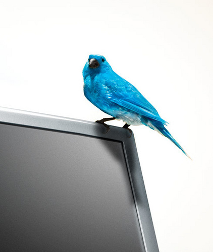 Ten Twitter Tips for Teachers | The Whiteboard Blog | Technology in Education | Scoop.it