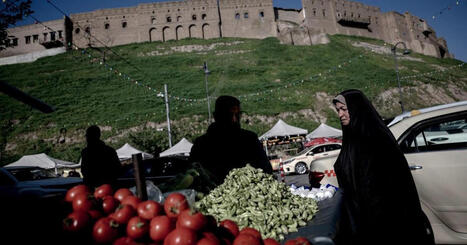 MIDDLE EAST war 'threatens global FOOD security': WTO chief warns | CIHEAM Press Review | Scoop.it