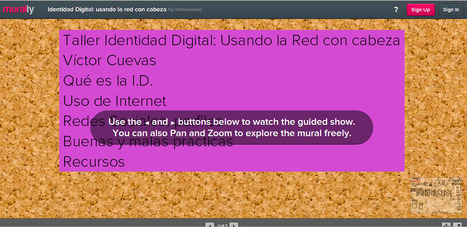 Identidad Digital:usando la red con cabeza.Mural.ly | TIC & Educación | Scoop.it