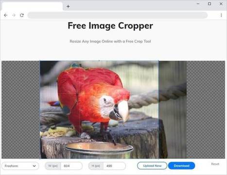 Free Image Cropper: cortar y redimensionar imágenes online | Education 2.0 & 3.0 | Scoop.it