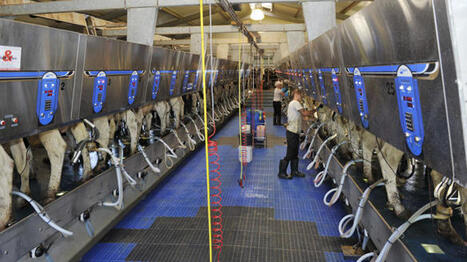 Lait&nbsp;: des &Eacute;tats membres demandent de freiner d&rsquo;urgence la production | Economie de l'Elevage | Scoop.it