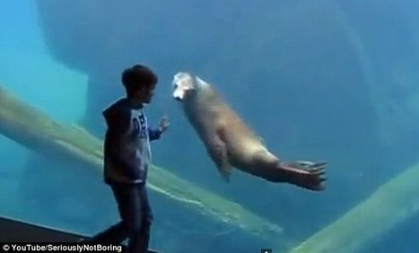 The Story Behind "Sea Lion Shadow" (and why I told the world my son has Autism) | Life Orientation resources for South African teachers | Scoop.it