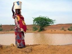 Sahel : Risque de choléra chez les enfants selon l'Unicef | Toxique, soyons vigilant ! | Scoop.it