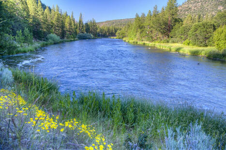 Salmon Make a Long-Awaited Return to the Klamath River for the First Time in 112 Years, After Largest Dam Removal in U.S. | Smithsonian | Soggy Science | Scoop.it