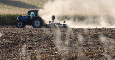 "Dans six mois ce sera l'h&eacute;catombe si on ne fait rien" : comment soutenir nos producteurs locaux&nbsp;? - ICI | veille th&eacute;matique | Scoop.it