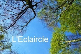 Eclaircie N°33 – 8 octobre 2019 | Biodiversité | Scoop.it