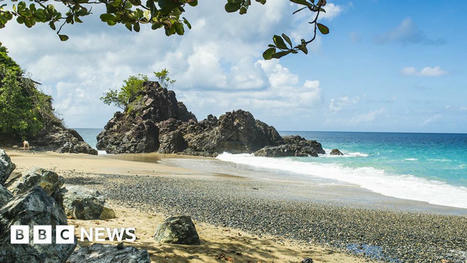 Tobago shark attack: Peter Smith now 'able to communicate' | Soggy Science | Scoop.it