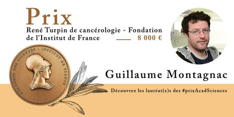 Guillaume Montagnac, lauréat 2020 du prix René Turpin de cancérologie de l'Académie des Sciences | Life Sciences Université Paris-Saclay | Scoop.it