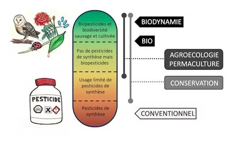Les sept familles de l&rsquo;agriculture durable | EntomoScience | Scoop.it