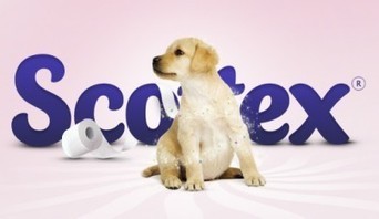 Buoni sconto Carta Igienica Scottex | Coupon e buoni sconto per la spesa alimentare | Scoop.it