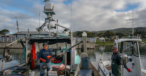 Salmon fishing banned in California for a second year | Coastal Restoration | Scoop.it