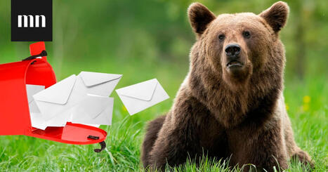 Sanat, jotka toimivat vain suomeksi &ndash; pystytk&ouml; lukemaan t&auml;m&auml;n sanak&auml;&auml;nn&ouml;sten listan nauramatta? | 1Uutiset - Lukemisen t&auml;hden | Scoop.it